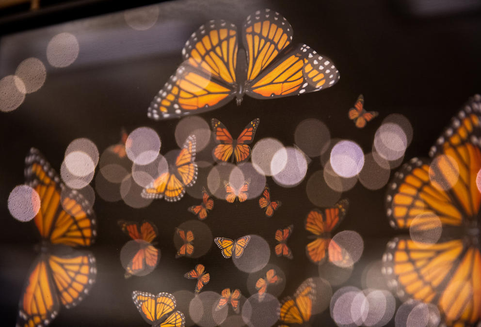 laser cut paper monarch butterflies float together, mixed with soft-focus circles of light