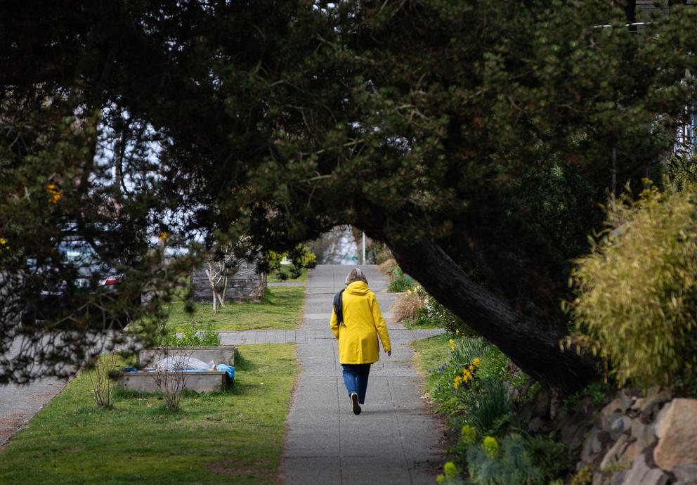 A person in a yellow jacket walks under a tree that hangs over the sidewalk
