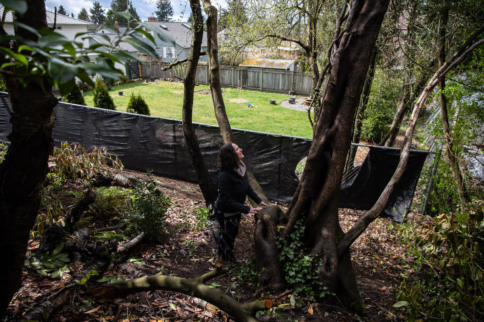A woman stands in a wilderness area next to a fenced in yard