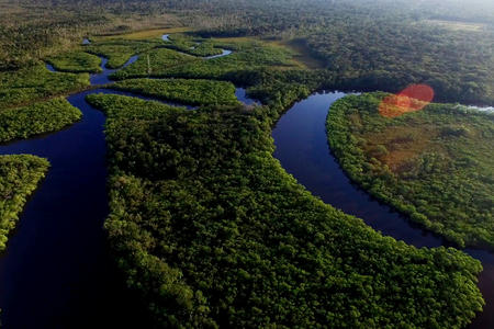 amazon rainforest aerial 