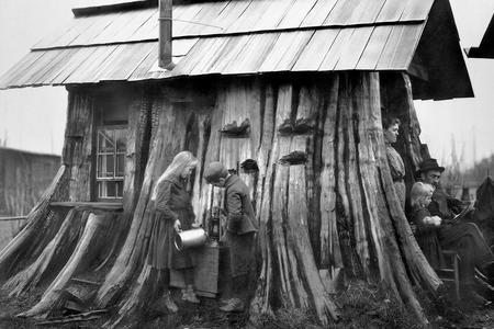 Archival image of a stump house with family