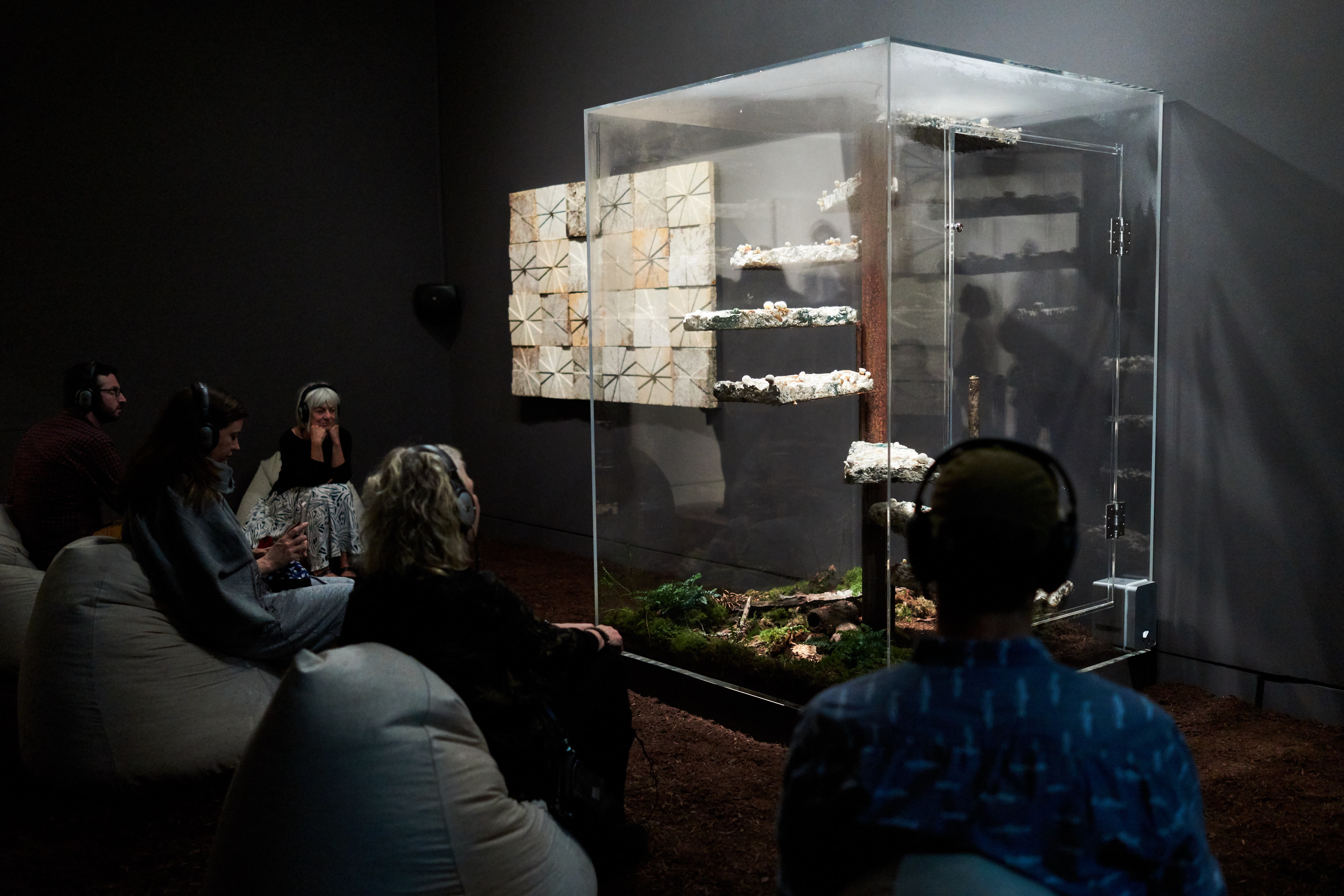 Frye Art Museum visitors spending time with Marcos Lutyens’ “Library of Babel, a Symbiont Induction”  PHOTO CREDIT: Jonathan Vanderweit