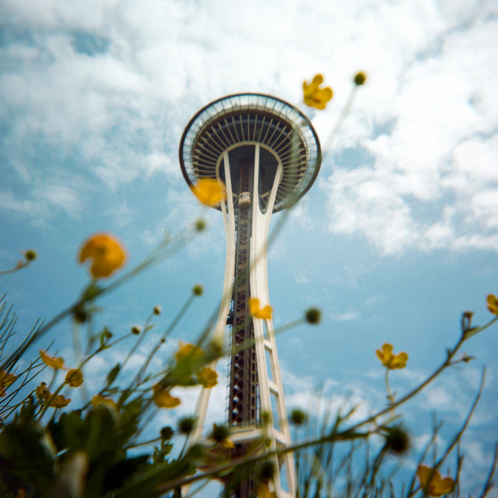 The Seattle Space needle seen from below yellow flowers in the foreground