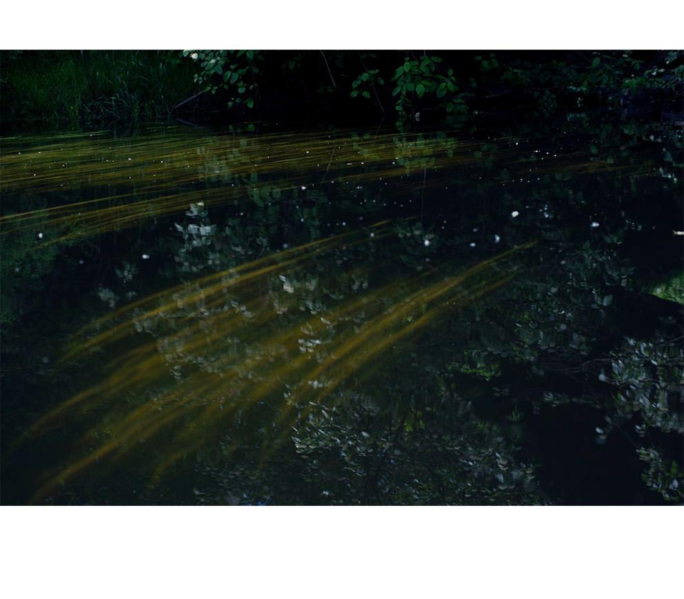 dark photo of a river with trees reflected in it 
