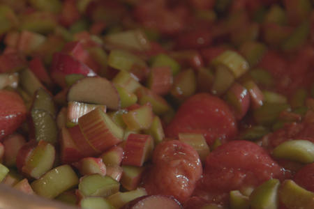 Strawberry and rhubarb pieces for jam